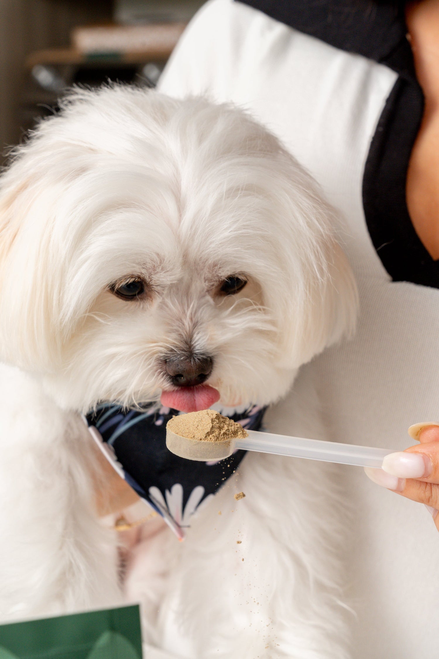 Iron Paws Daily Human-Grade Superfood For Dogs
